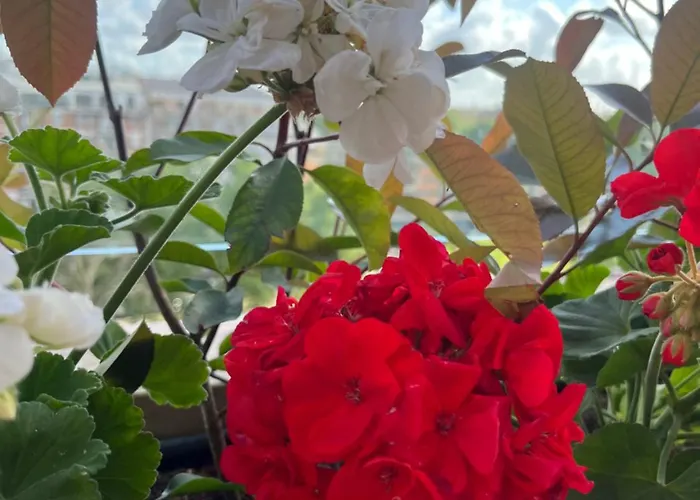 Apartment Luxury House Alessia Rome